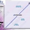 نخ لیفت PDO-Fish Bone-19G/100 Lblunt UPS3.0(بسته 4عددی) - Image 2
